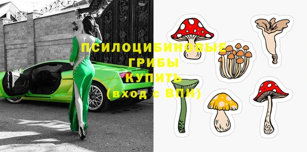 Альфа ПВП Балабаново