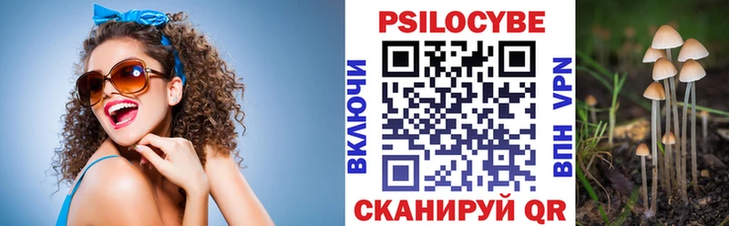 Галлюциногенные грибы Psilocybine cubensis  Зеленогорск 